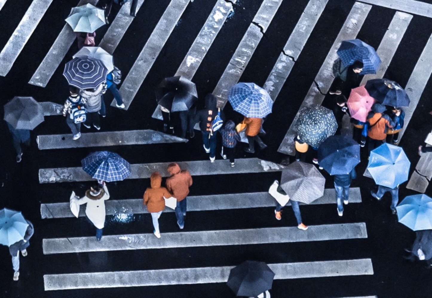 Old Habits Die Hard Status Quo Bias in the NewMR